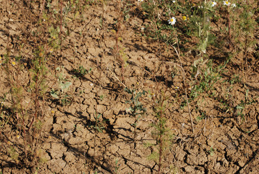 Similar image 22465887