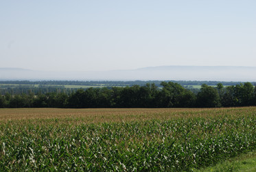 Similar image 22465888