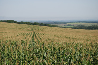 Similar image 22465889