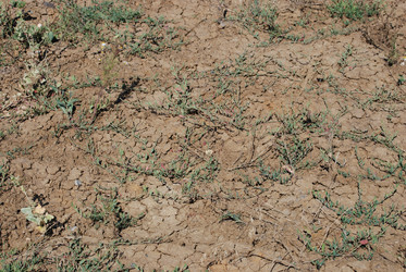 Similar image 22465890