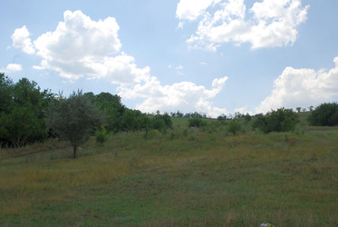 Similar image 22465900