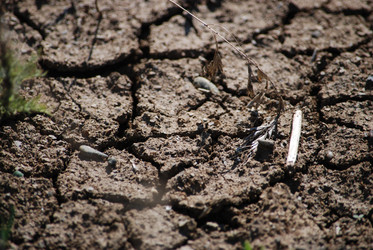 Similar image 22465903