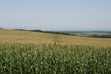 Similar image 22465904