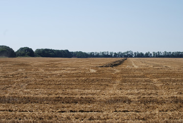 Similar image 22465905