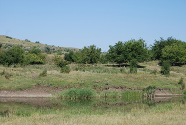 Similar image 22465906