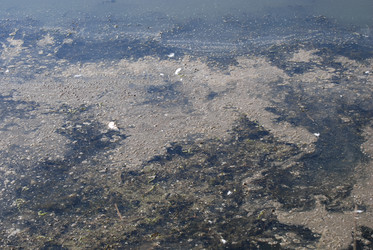 Similar image 22465908