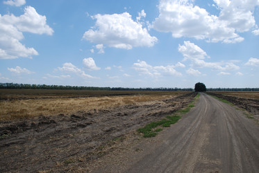 Similar image 22465911