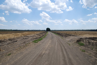 Similar image 22465912