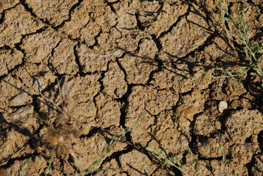 Similar image 22465914