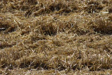 Similar image 22465915