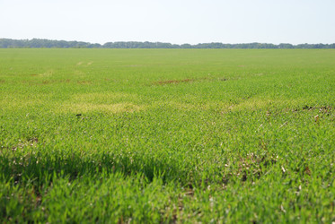 Similar image 22465916