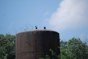 Similar image 22465918