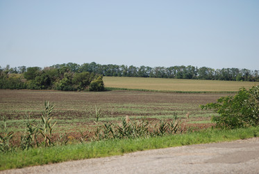 Similar image 22465919