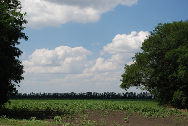 Similar image 22465920