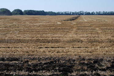 Similar image 22465921