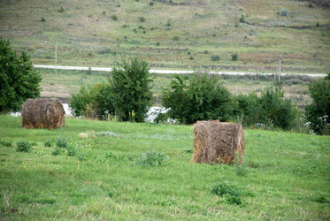 Similar image 22465922