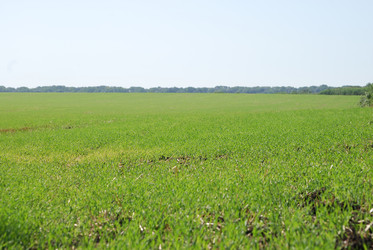 Similar image 22465923