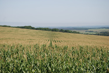 Similar image 22465927