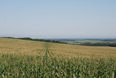 Similar image 22465928