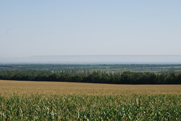 Similar image 22465930