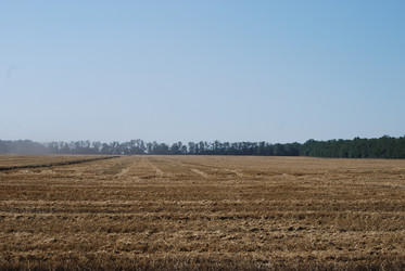 Similar image 22465931