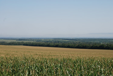 Similar image 22465933