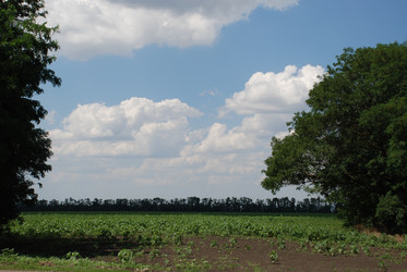 Similar image 22465934