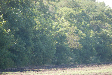 Similar image 22465935