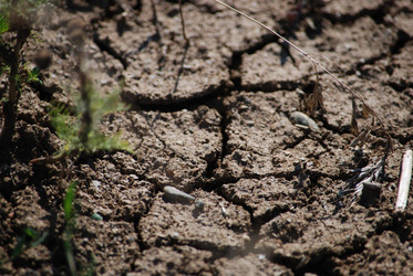 Similar image 22465937