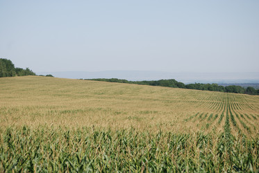 Similar image 22465938