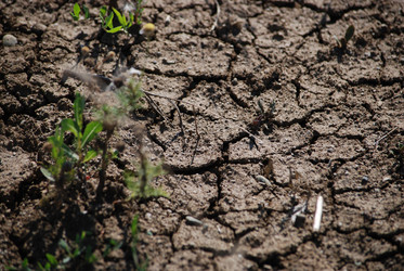 Similar image 22465940