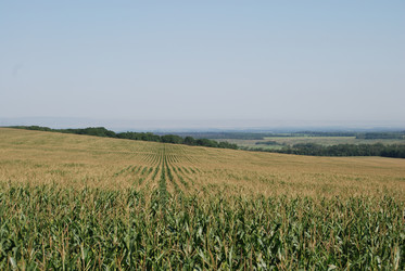 Similar image 22465943