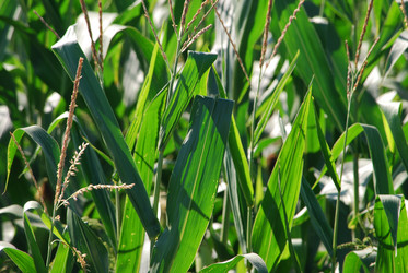 Similar image 22465948