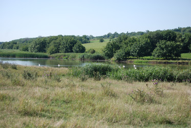 Similar image 22465953