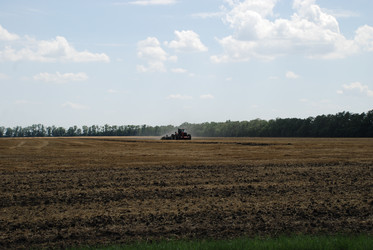 Similar image 22465954