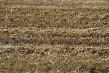 Similar image 22465955