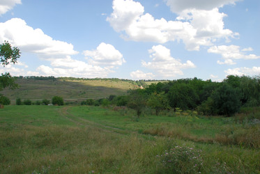 Similar image 22465956