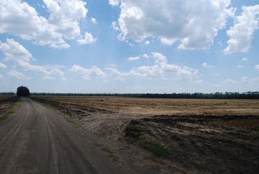 Similar image 22465957