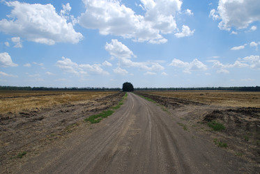 Similar image 22465958