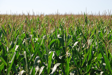 Similar image 22465970