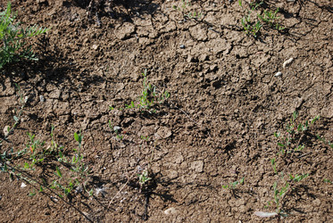 Similar image 22465971