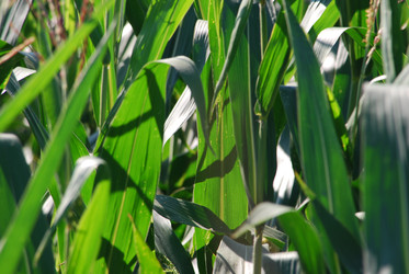 Similar image 22465974