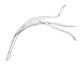 Similar image 22469662