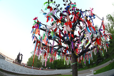 Similar image 22465067