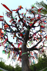 Similar image 22465080