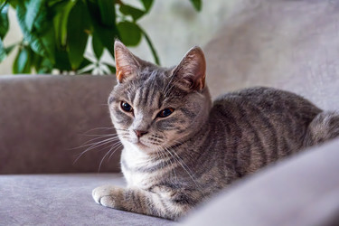 Similar image 22469642