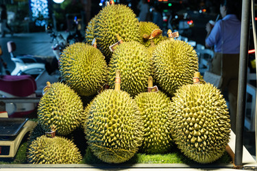 Similar image 22474677