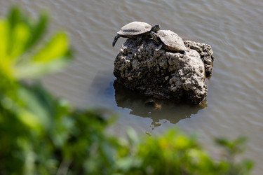 Similar image 22474683