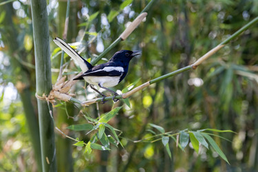 Similar image 22474686