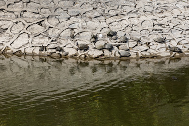 Similar image 22474693